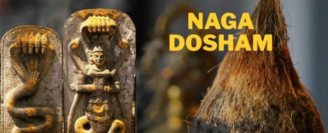 Naga Dosham
