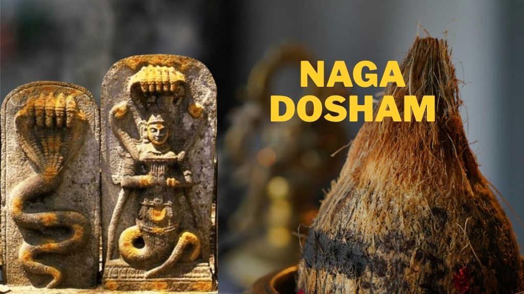 Naga Dosham