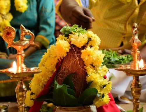 Mrigashira Star Marriage Matching for Female: Which Boy Nakshatra is Perfect for Thirumana Porutham?