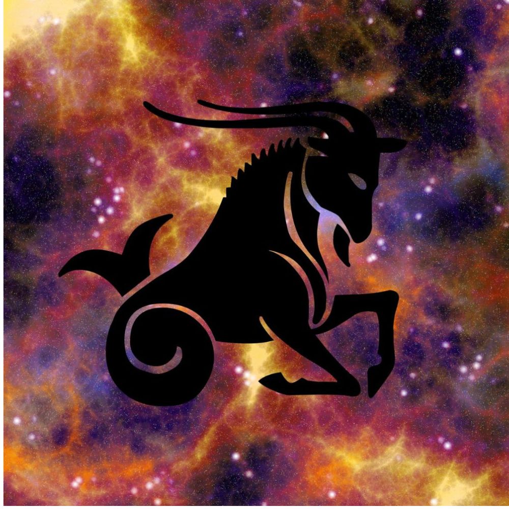 Capricorn Zodiac Sign Capricorn Zodiac Sign