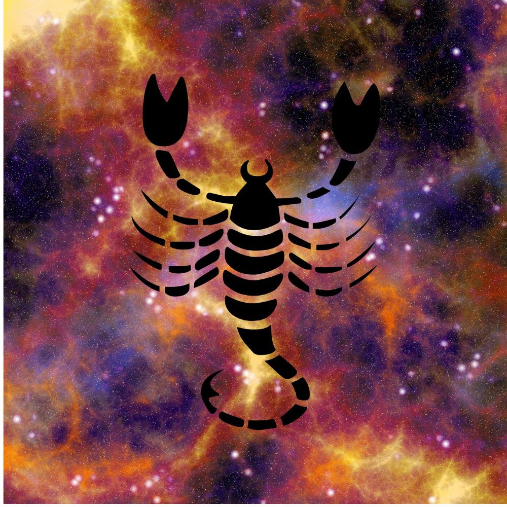 Scorpio Zodiac Sign Scorpio Zodiac Sign