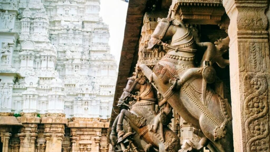 திருவாதிரை நட்சத்திரம் திருவாதிரை நட்சத்திரம்