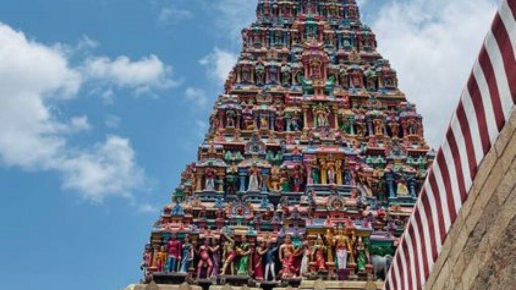 ரோகிணி நட்சத்திரம் ரோகிணி நட்சத்திரம்