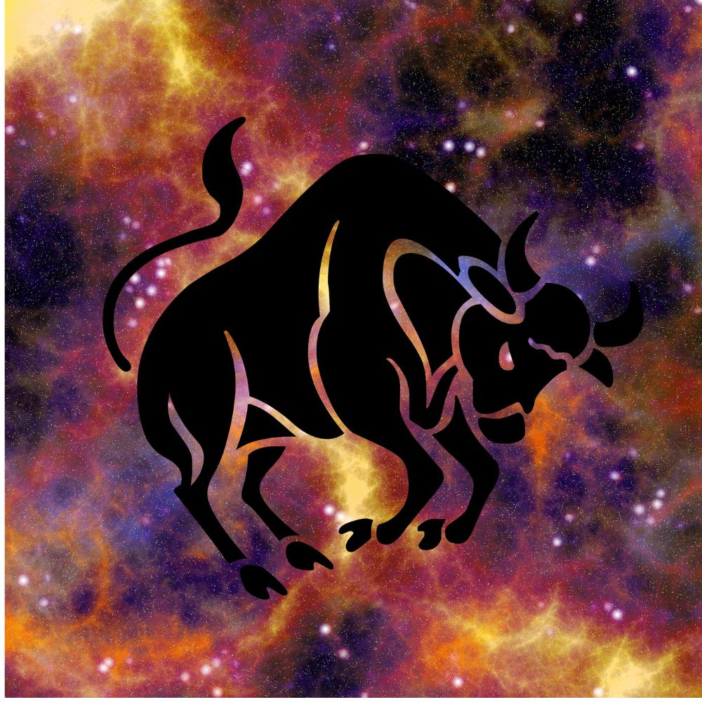 ரிஷப ராசி ரிஷப ராசி